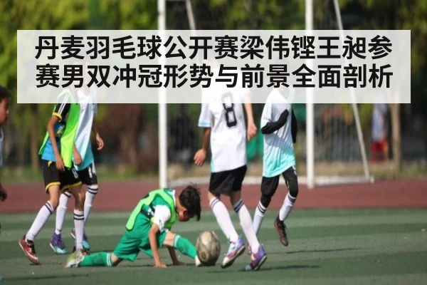 丹麦羽毛球公开赛梁伟铿王昶参赛男双冲冠形势与前景全面剖析